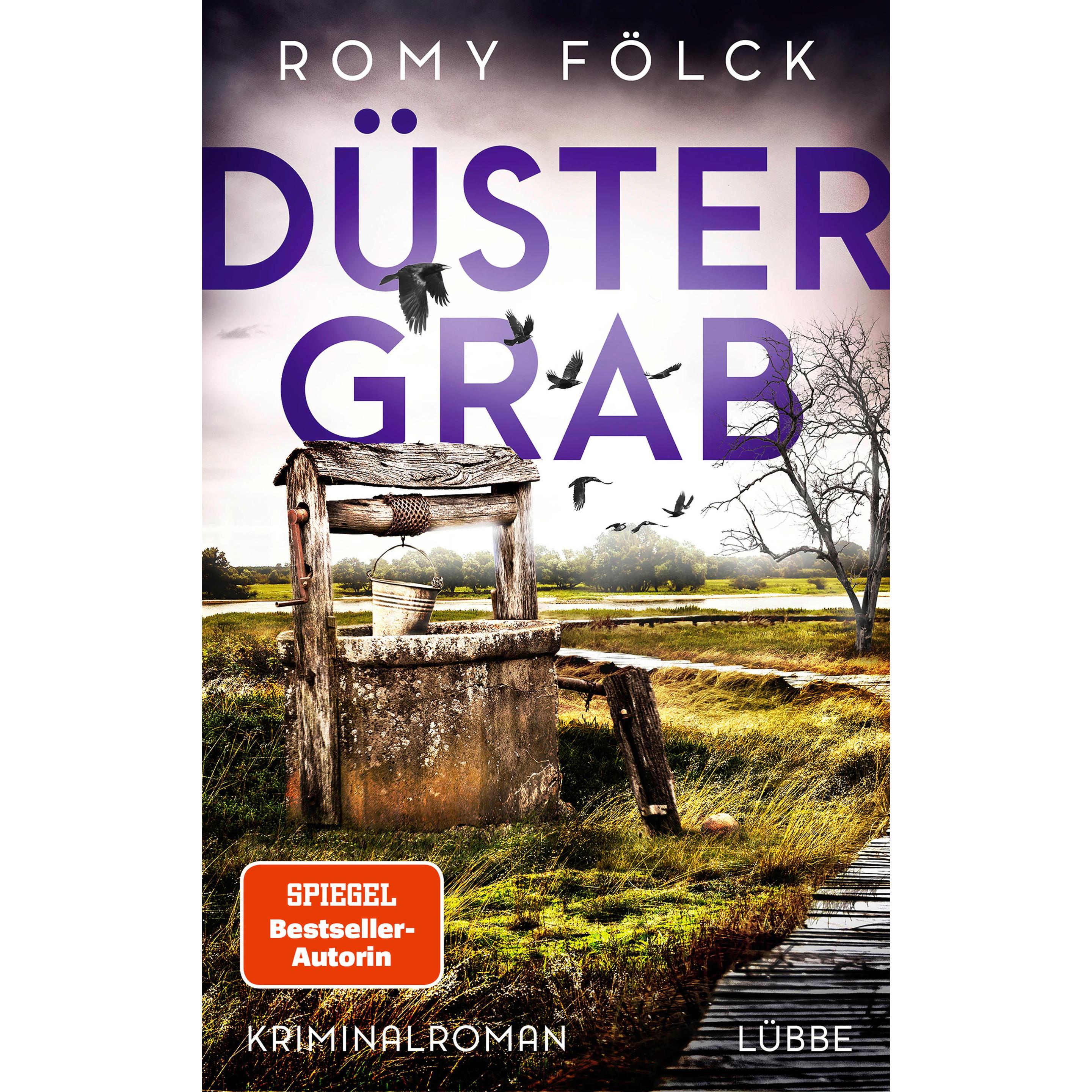 Düstergrab, Belletristik von Romy Fölck