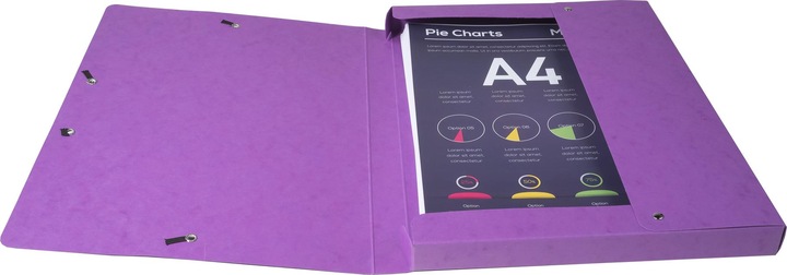 Actual product image Exacompta Archivboxen (A4)