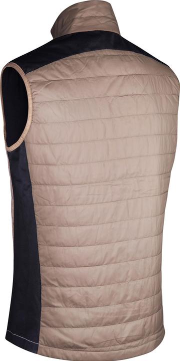 Actual product image Daehlie M Vest Graphlite (L)