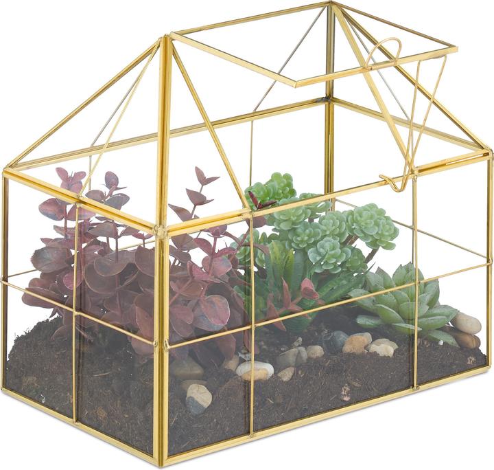 Relaxdays Pflanzenterrarium