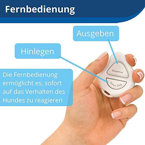 Image du produit PetSafe Traiter et former