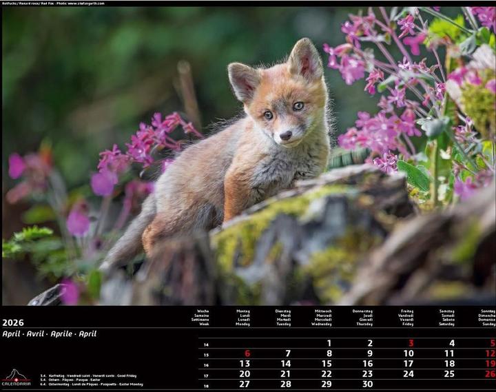 Image du produit Swiss Animals 2026 (40 x 31 cm)