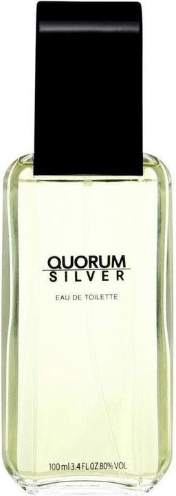 Produktbild Antonio Puig Quorum Silver (Eau de Toilette, 100 ml)