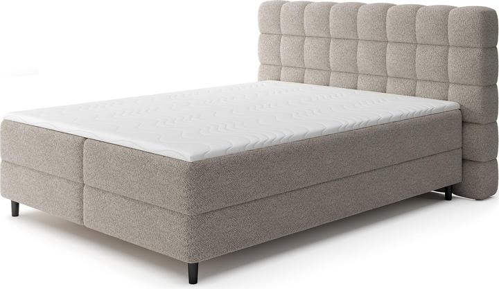 Light Brown Royal 20