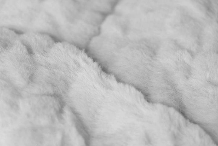 Actual product image Trend Pet Dog blanket Heaven, Grey, Size XS (Dog)