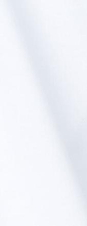 Actual product image Tiger or Sweden Olaf (XL)