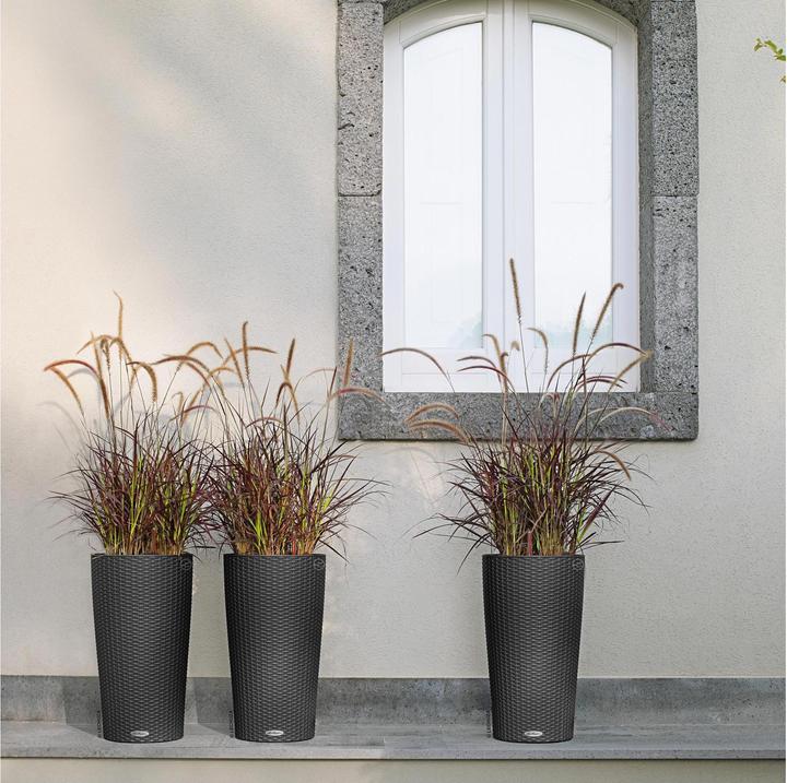 Produktbild Lechuza CILINDRO Cottage All-In-One (33 cm)