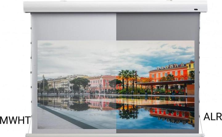 Image du produit Celexon HomeCinema Dynamic Slate ALR (120", 16:9)
