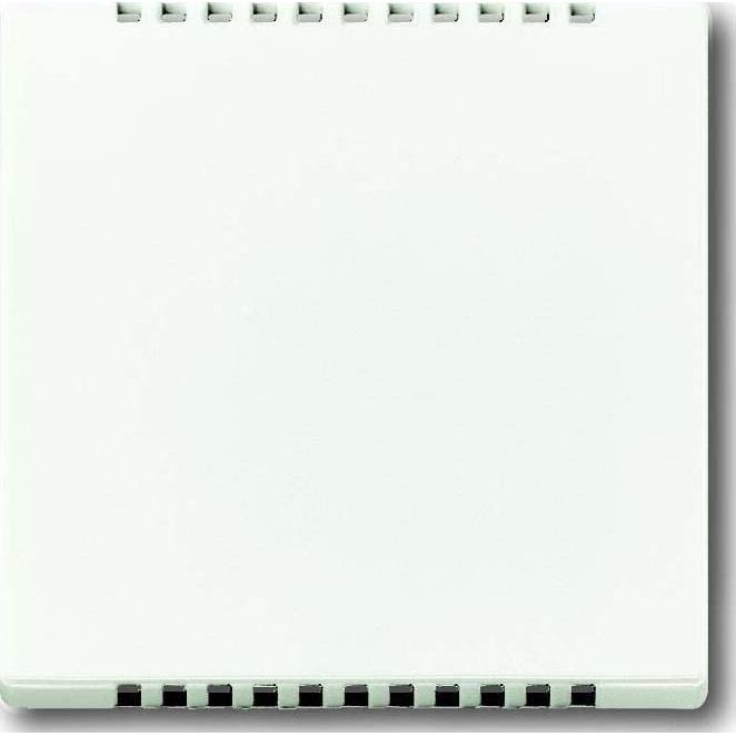 Busch-Jaeger, Zubehör Schalterprogramm, Zentralscheibe für Kühlteil 2CKA006599A2962