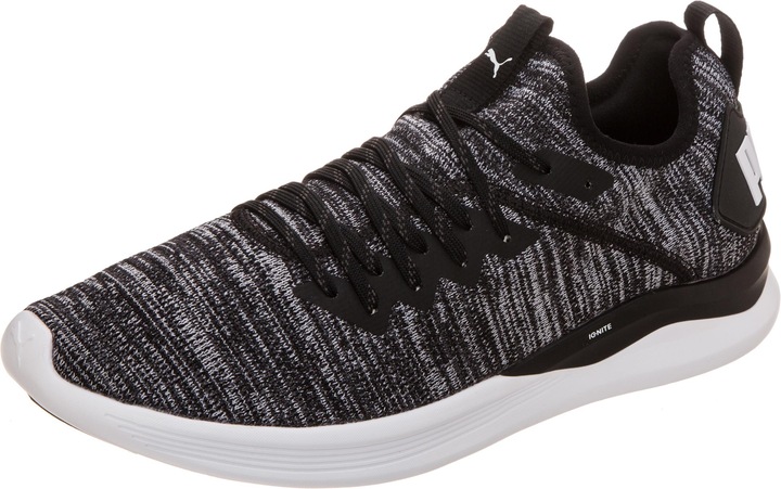 Produktbild Puma Ignite Flash evoKNIT (44.5)