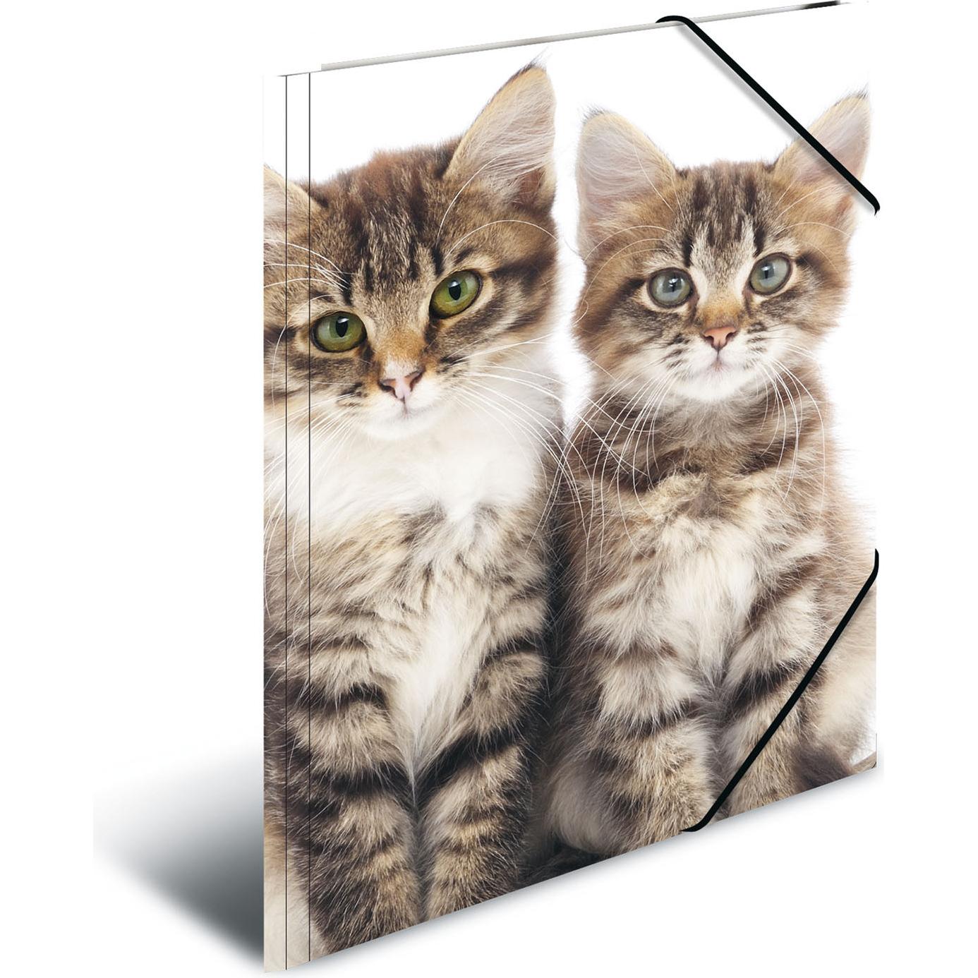 Herma, Mappe, Eckspannermappe "Katzen", aus PP, DIN A4 Masse: (B)244 x (T)4 x (H)320 mm, mit 3 Innenklappen und (A4, 1 x...