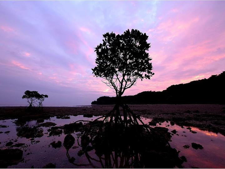 Actual product image Panasonic Lumix G Vario 7-14mm f/4 ASPH. (Micro Four Thirds, Micro Four Thirds)