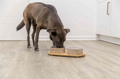 Immagine prodotto Trixie Set Voerbak / Waterbak Keramiek / Bamboe Wit / Natuur - 2X300 Ml 30X6X15 Cm (30 cl)