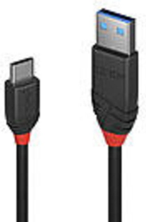 Actual product image Lindy black line (0.15 m, USB 3.1)