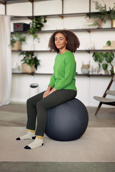 Actual product image Leitz Seat Ball Active Ø 55cm velvet grey (55 cm)