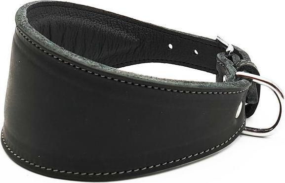 Actual product image Colly Greyhound collar (Dog, General)