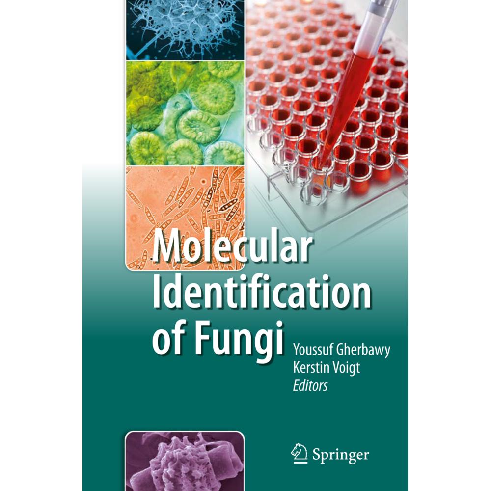 Molecular Identification of Fungi, Fachbücher von Kerstin Voigt, Youssuf Gherbawy