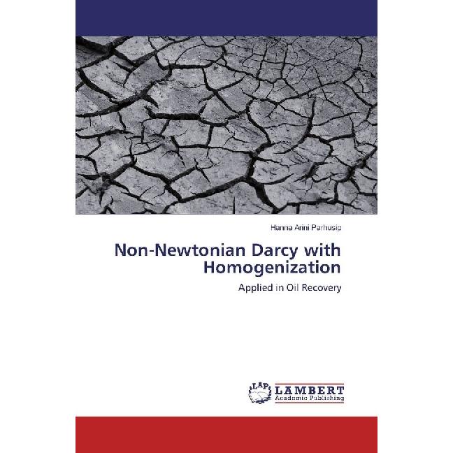 Non-Newtonian Darcy with Homogenization, Fachbücher von Hanna Arini Parhusip