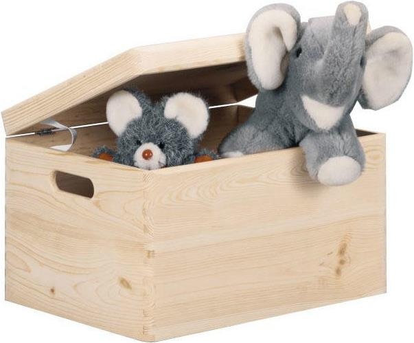 Image du produit Zeller Present Boîte polyvalente (40 x 30 x 23 cm, 29 l)