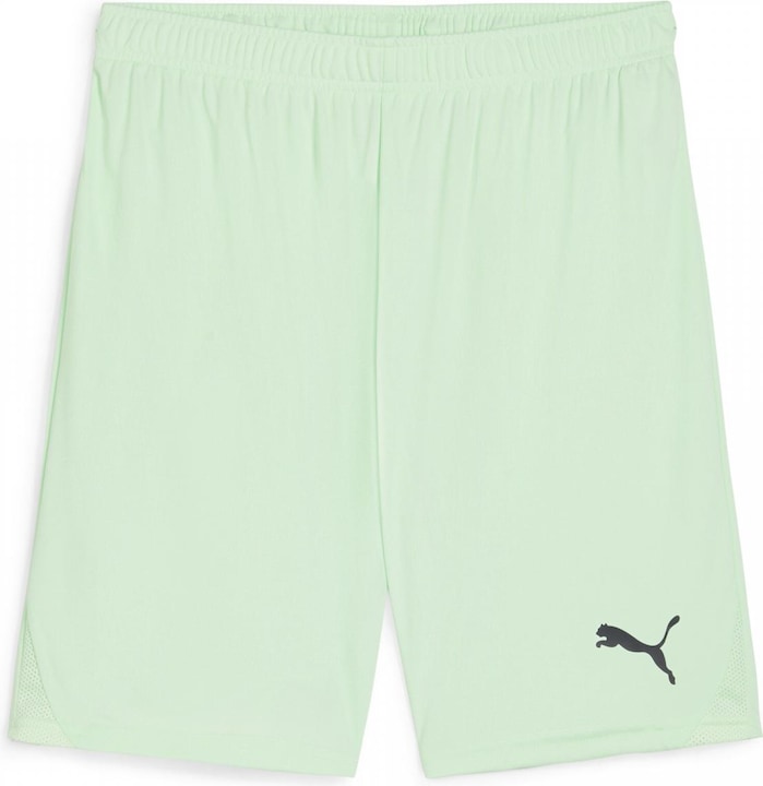 Actual product image Puma teamGOAL shorts (M)