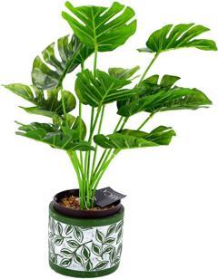 Image du produit Pot Olea Cylindre Vert 11 cm