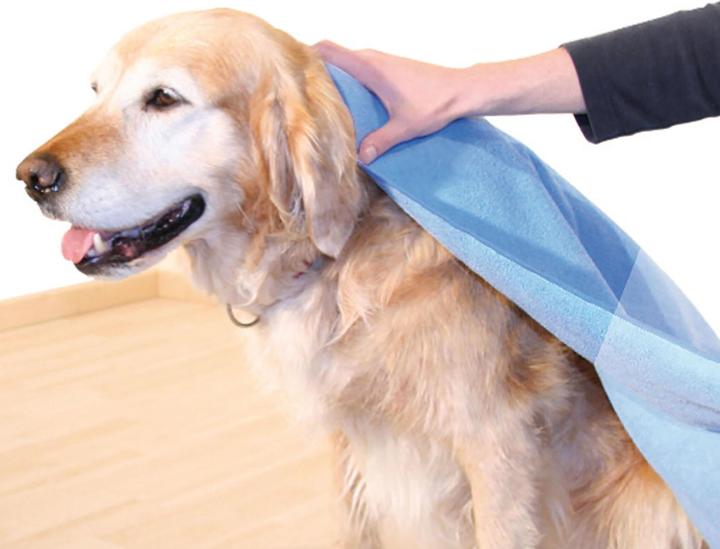 Actual product image Swisspet Microfibre cloth Micro (Dog)