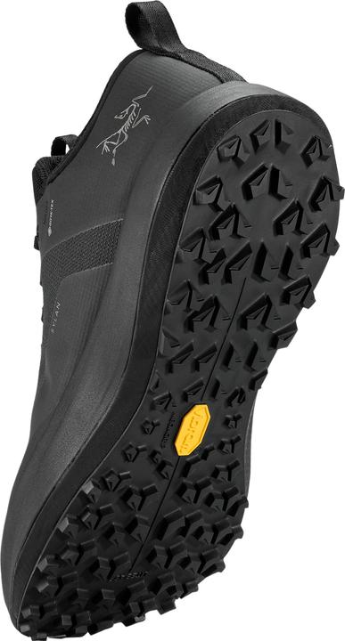 Actual product image Arc'teryx Sylan GTX (40)