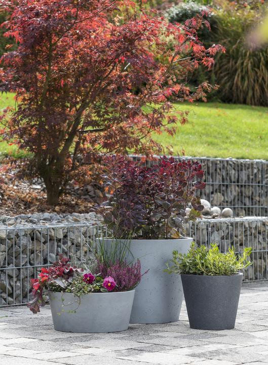 Produktbild Scheurich C-Cone (28.50 x 24.30 cm)