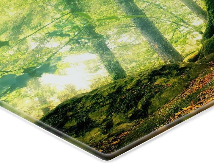 Immagine prodotto Trenddeko Kiciak - Foresta delle fiabe (60 x 40 cm)