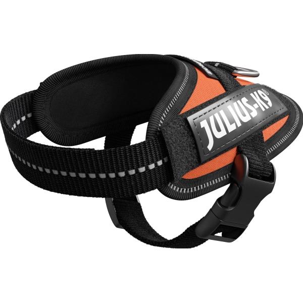 Julius-K9 K9 IDC sele, str.: Baby 1, UV orange, 29-36 cm (Hund, Hundesport), Halsband + Leine