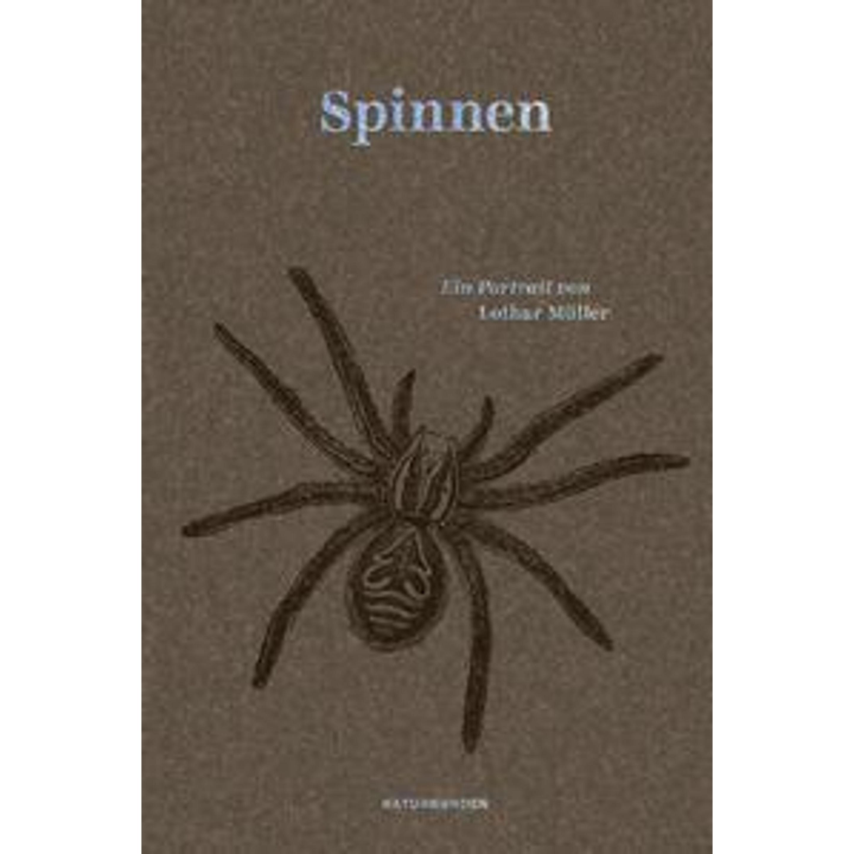 Spinnen, Ratgeber von Lothar Mller