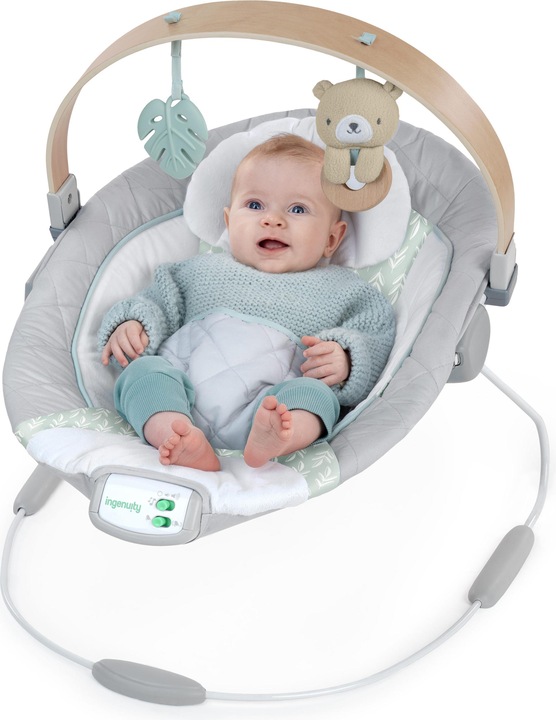 Actual product image Ingenuity Cozy Spot Bouncer with Wood Toy Bar