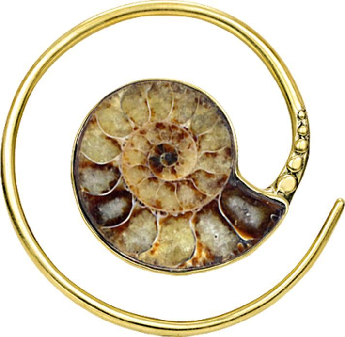 Immagine prodotto Star Piercing Anello a spirale placcato oro (Ottone, Organico)