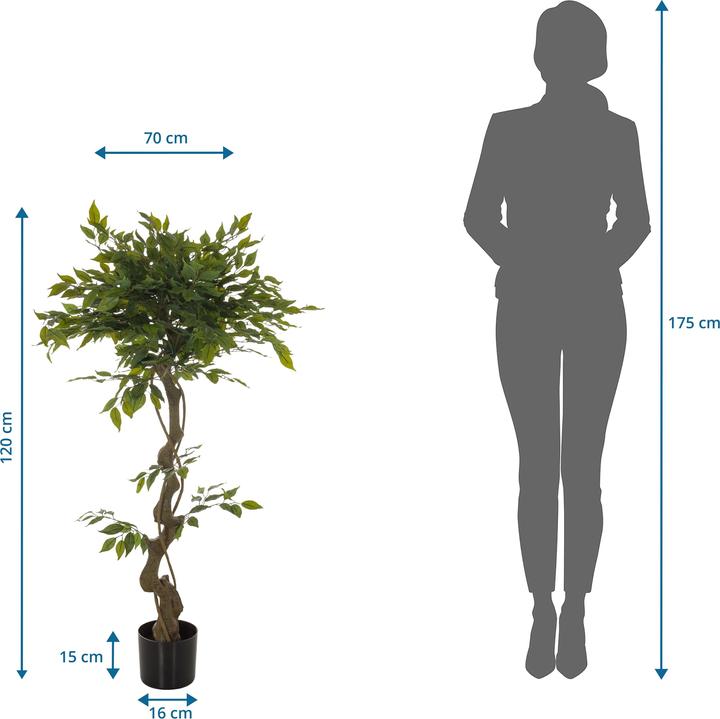 Actual product image Hjh Office Ficus I (120 cm)