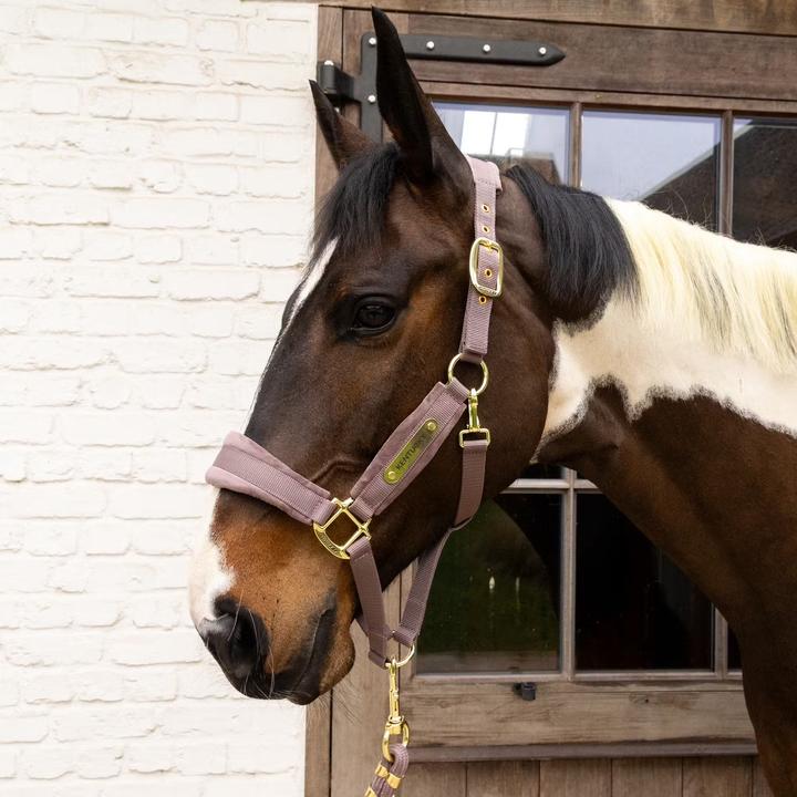 Immagine prodotto Kentucky Horsewear Cavezza in nylon