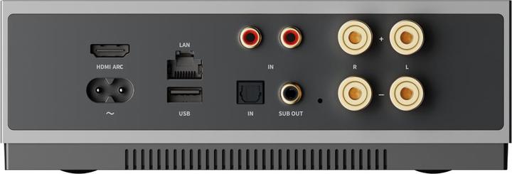 Immagine prodotto WiiM Suono LPWISND (Google Assistant, Apple Siri, Amazon Alexa)