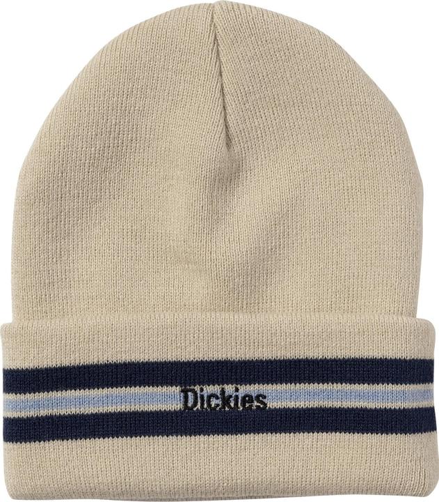Actual product image Dickies Tom Knox Beanie