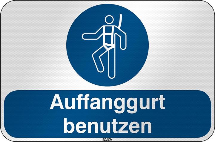 Actual product image Brady M/M018/DE200/RFL-590X390-1, ISO safety sign - Use safety harness, Laminated