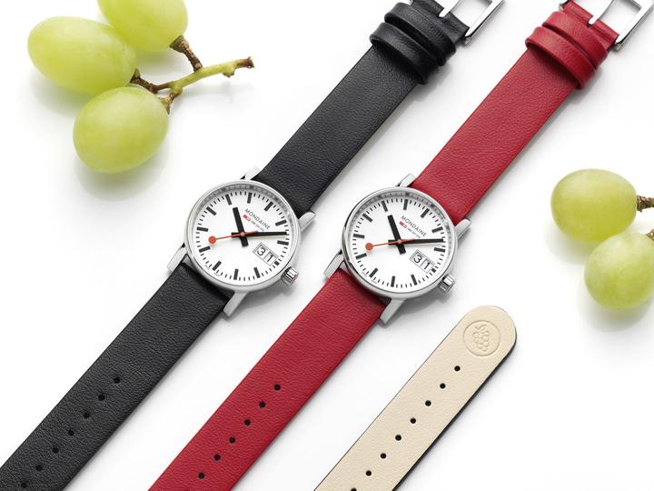 Actual product image Mondaine Evo2 (Analogue wristwatch, 30 mm)