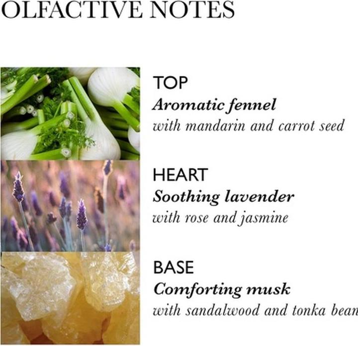 Actual product image Molton Brown Intense Repairing Hair Mask with Fennel (250 ml)