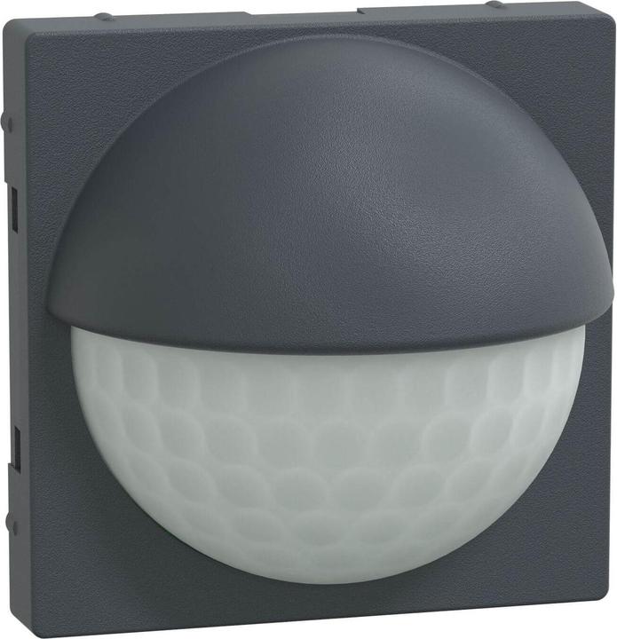 Merten ARGUS Präsenz (8 m)