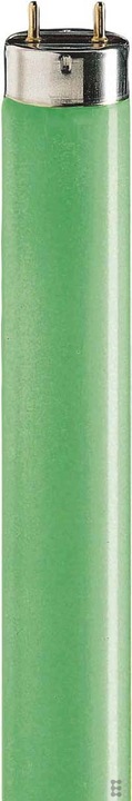 Image du produit Philips Lampe fluorescente 36W verte TL-D 36W/17 (G13, 36 W, 4300 lm, 1 x, A)