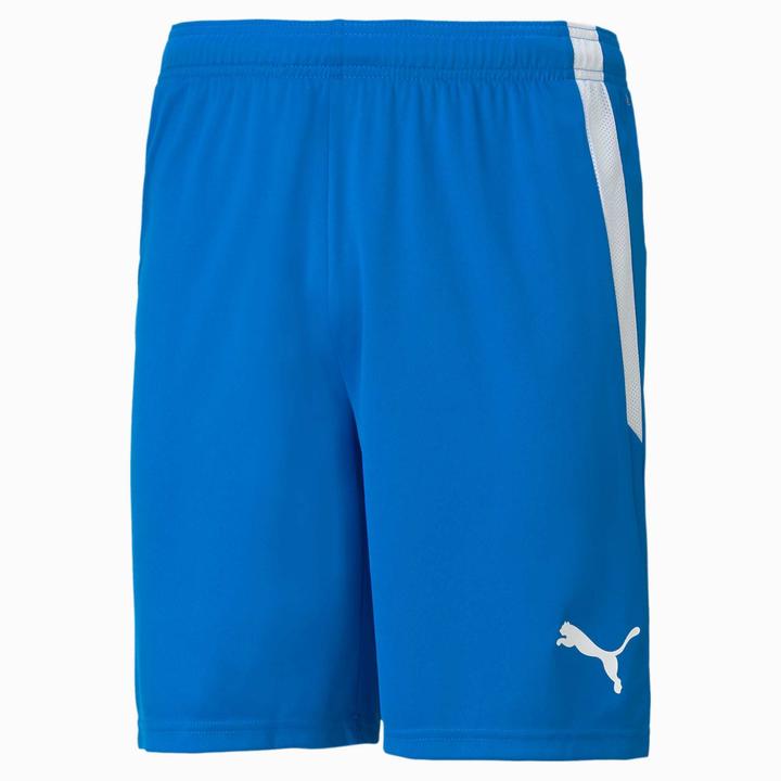 Image du produit Puma Short teamLIGA-704924 (L)