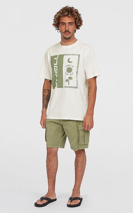 Produktbild O'Neill Essentials Cargo Shorts (34)