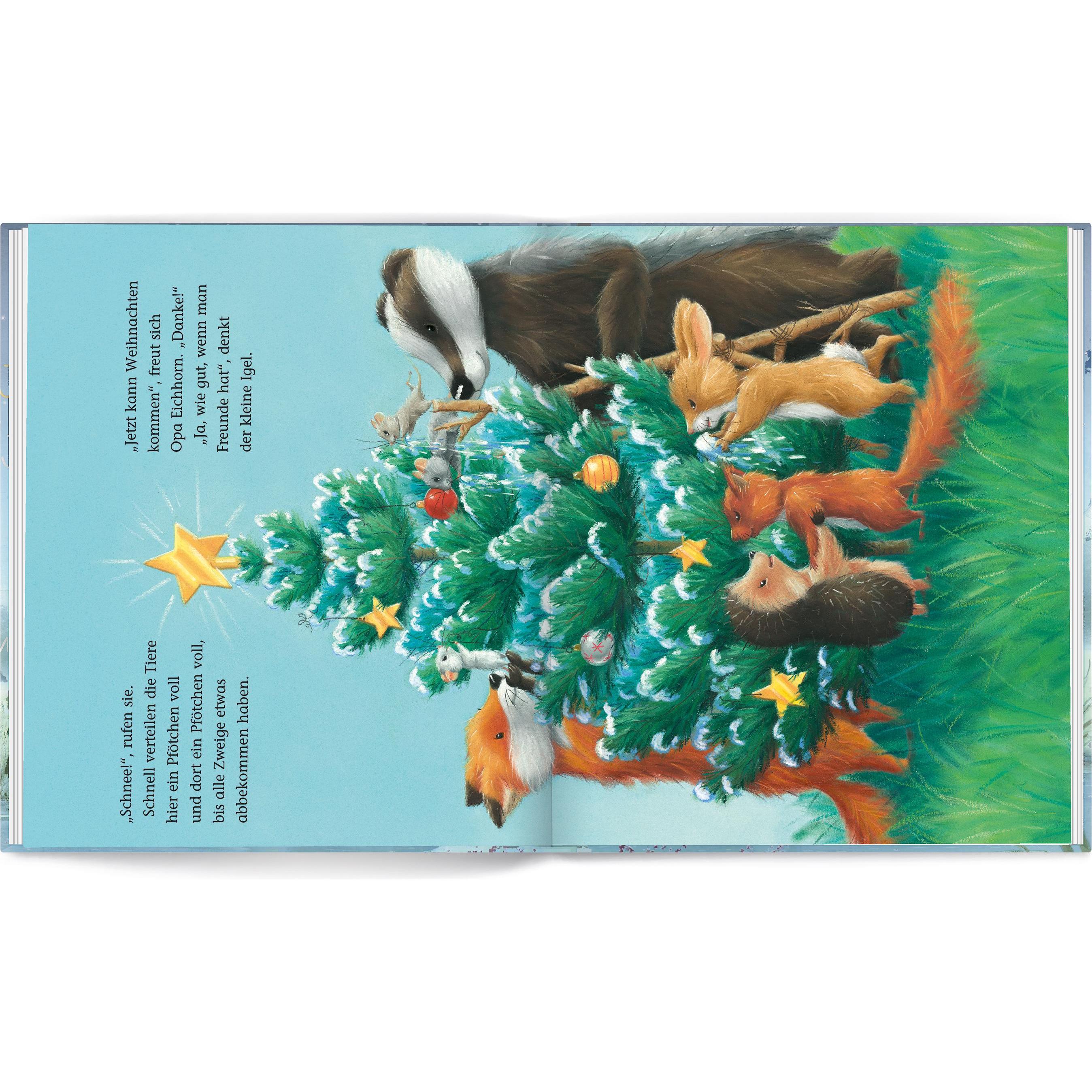Thumbnail - Der kleine Igel und die Schneemäuse, Kinderbücher von M Christina Butler