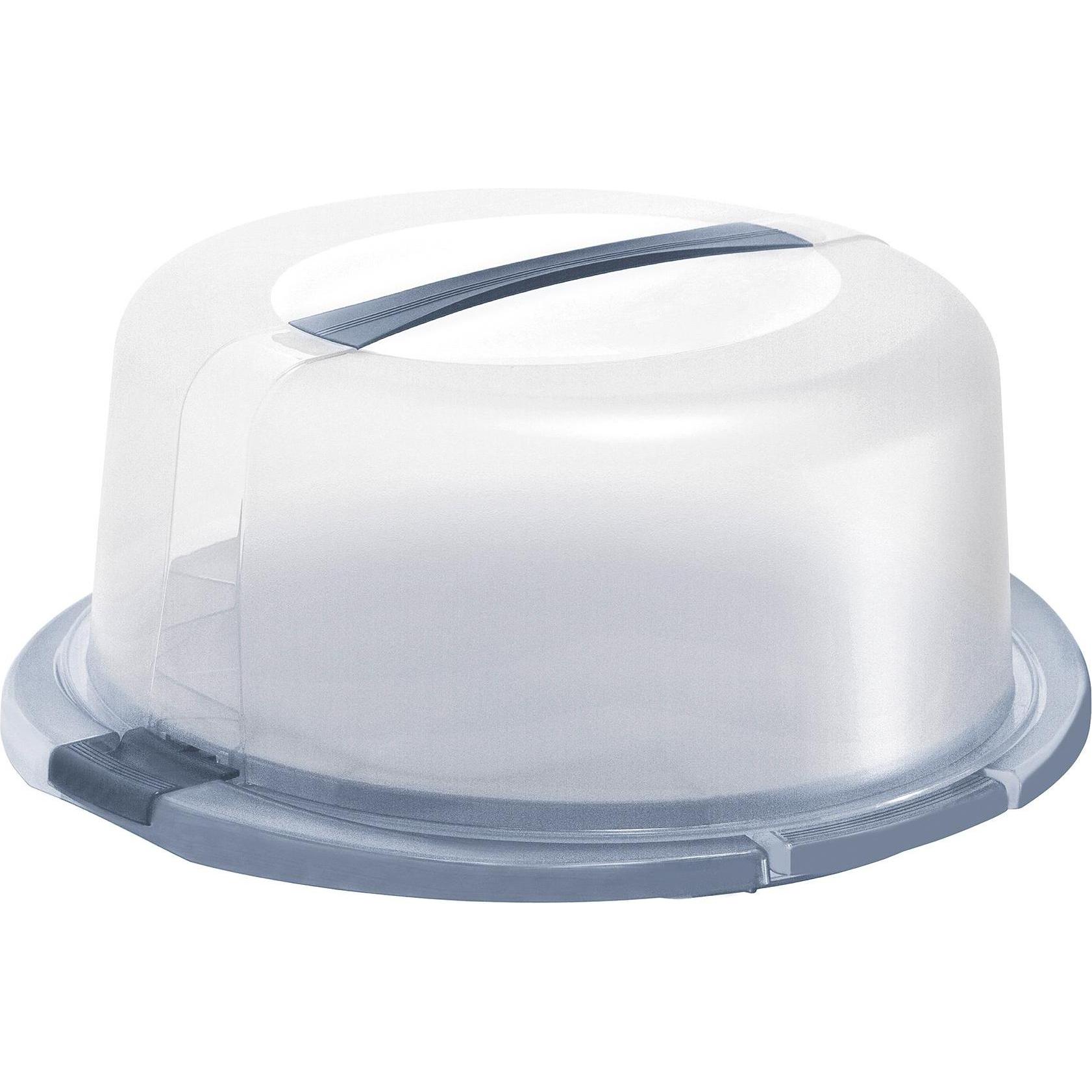 Rotho Tortenglocke Cool & Fresh blue, Kuchentransportbox, Blau