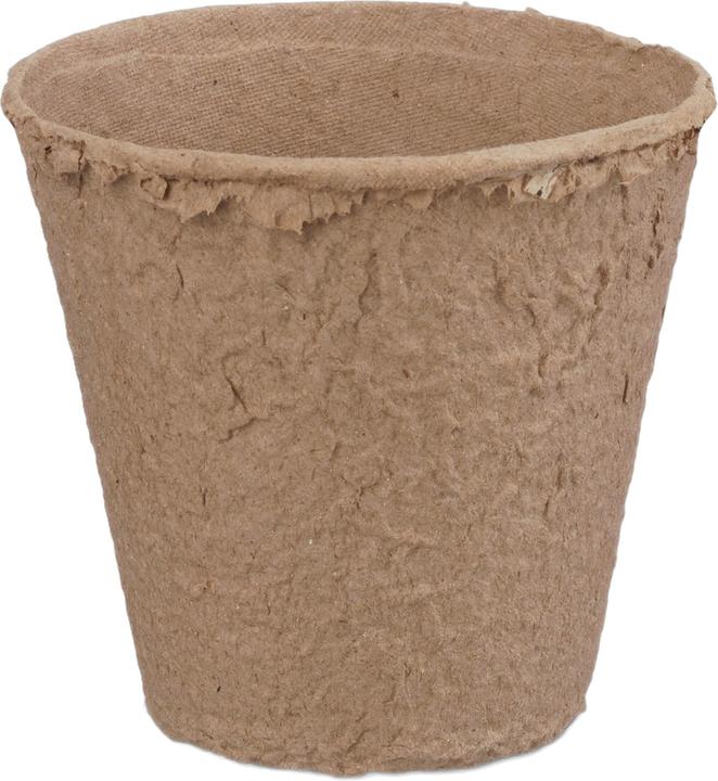 Actual product image Relaxdays Set of 80 Biodegradable Flower Pots