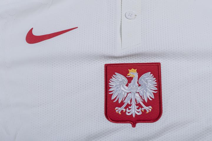 Image du produit Nike Pologne Authentic EM Maillot (L)
