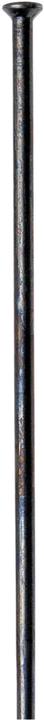 Image du produit DT Swiss Champion Race Straightpull
