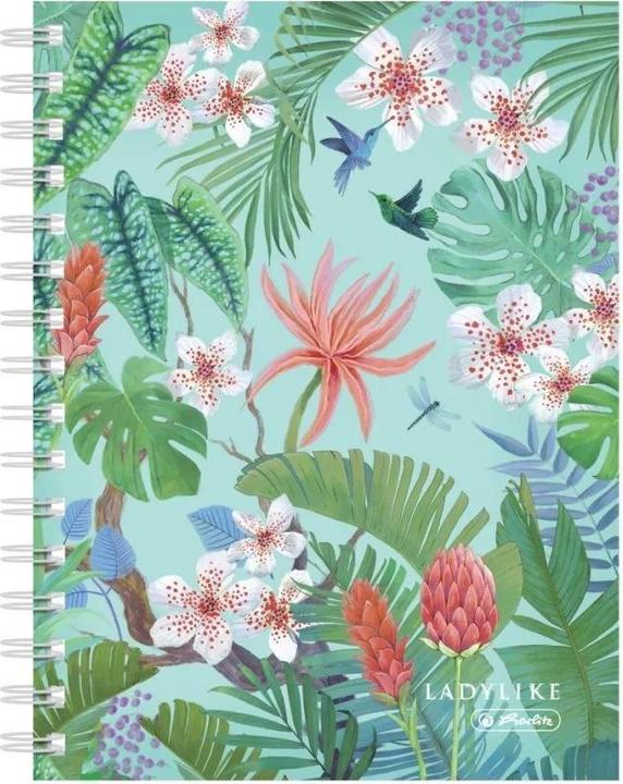 Immagine prodotto Herlitz Spiralnotizbuch A5/100.000 kr Ladylike (2 Stück) (A5, Copertina rigida)